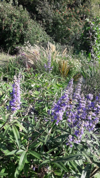 1 Beeches Farm Cottages